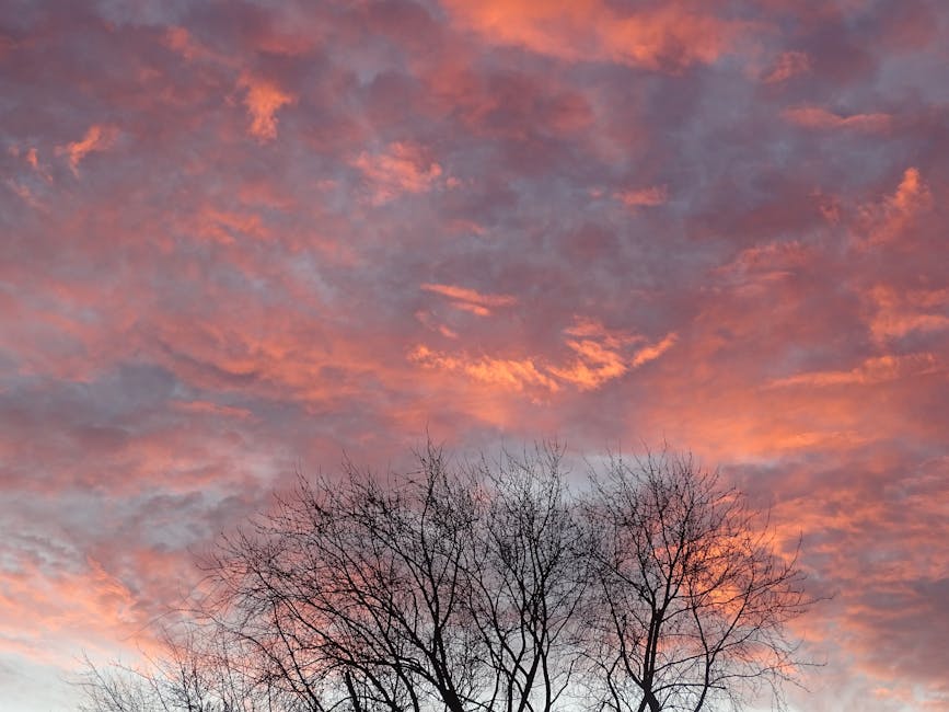 Sunset Color Palette: The Complete Guide for Fashion and Design in 2026