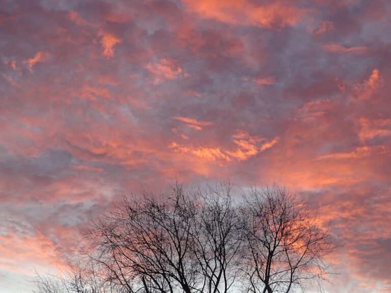 Sunset Color Palette